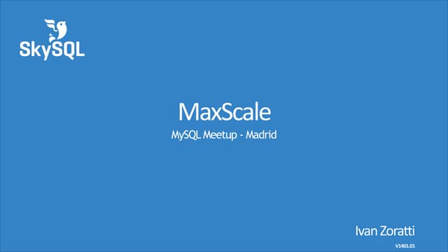 140116 max scale-for_madrid_meetup