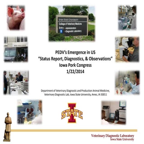 Dr. Rodger Main - PEDV's Emergence in the US: Status Report, Diagnostics, & O...