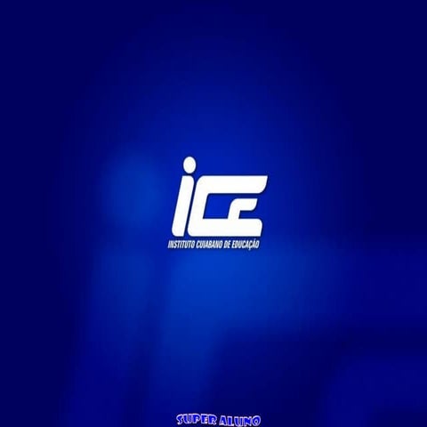 Introdução a Moderna Gestão de Pessoas, Gestão de Pessoas em um Ambiente Dinâ...