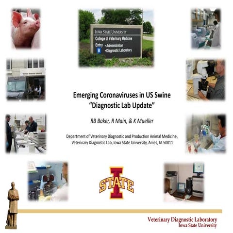 Dr. Butch Baker - PEDv Lab Update