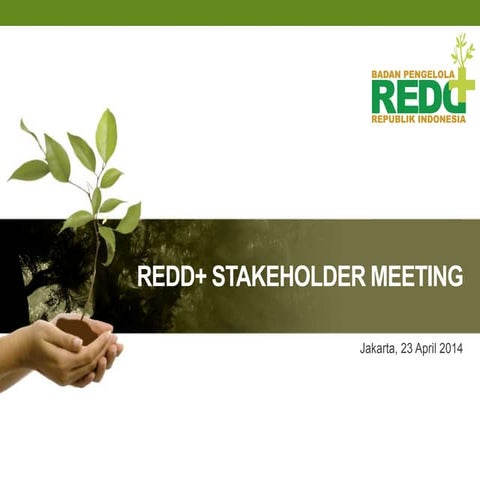 REDD+ in Indonesia: Challenges and Progress