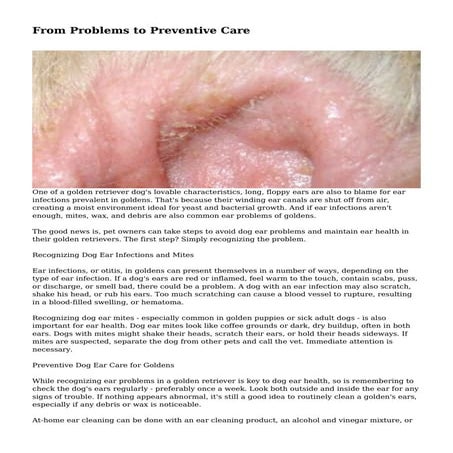 From Problems to Preventive Care