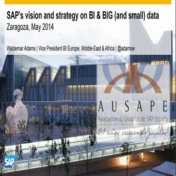 SAP’s vision and strategy on BI & BIG (and small) data