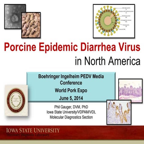 Dr. Phil Gauger - Porcine Epidemic Diarrhea Virus In North America
