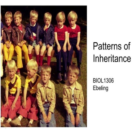 1306 Patterns of Inheritance Spring 2022.pptx