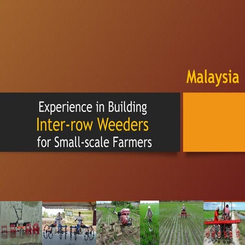 1407 - Experience in building inter-row weeders for small-scale farmers