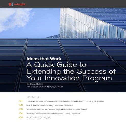 Ideas That Work: Extending the Success of Your Innovation Program