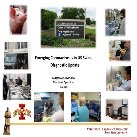 Dr. Rodger Main - Porcine Epidemic Diarrhea Virus (PEDv) Diagnostics