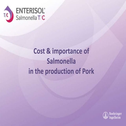 Dr. John Kolb - Importance of Managing Salmonella in Pigs