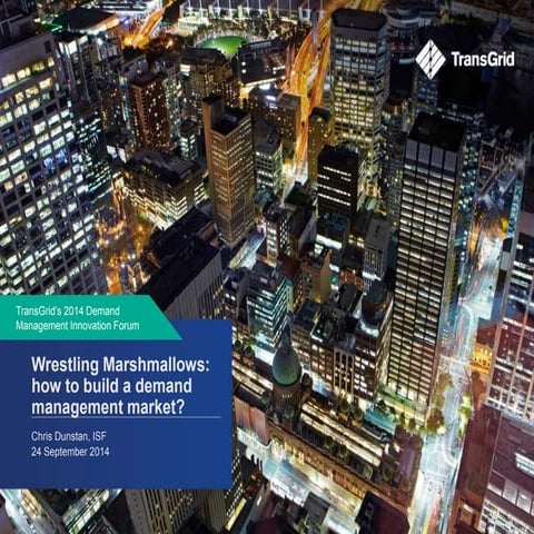 Wrestling Marshmallows - TransGrid's 2014 Demand Management Innovation Forum