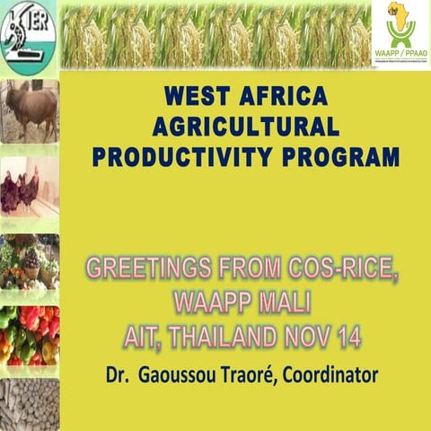 1416 -  West Africa Agricultural Productivity Program  / Direct Seeders for P...