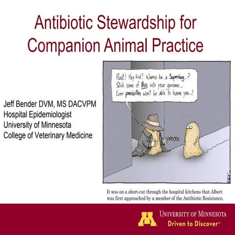 Dr. Jeff Bender - Companion Animal Antimicrobial Stewardship