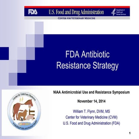 Dr. William Flynn - FDA Antibiotics Strategy