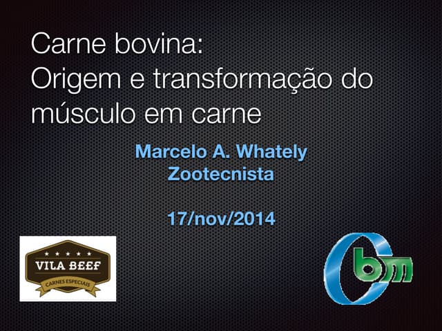 Carne bovina: origem e sua transformação de músculo em carne