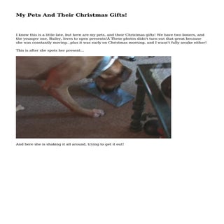 My Pets And Their Christmas Gifts!