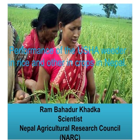 1412 - Performance of the USHA Weeder in Rice and Other in Crops in Nepal