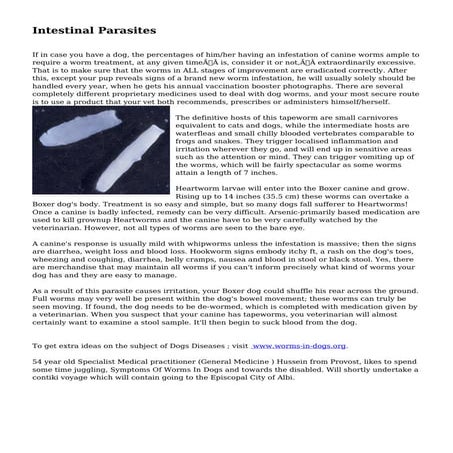 Intestinal Parasites | PDF
