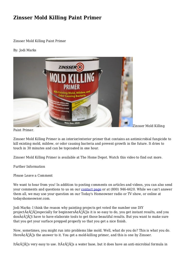 Zinsser Mold Killing Paint Primer