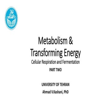 9 - Metabolism and Transfering Energy - Part Two