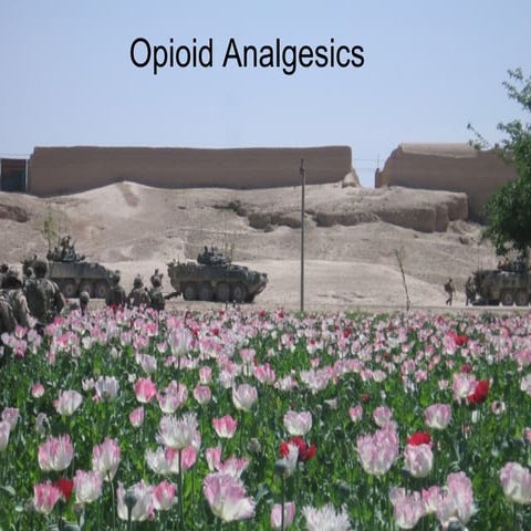 OpioidAnalgesics2008