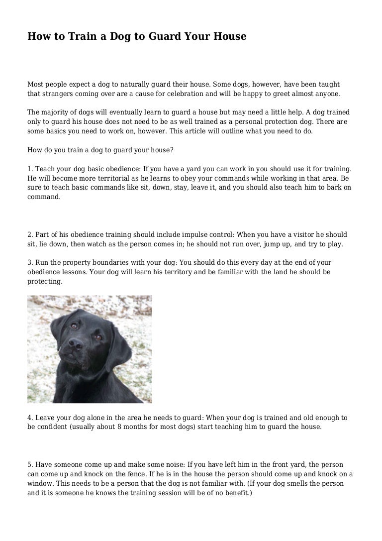 territorial dog training