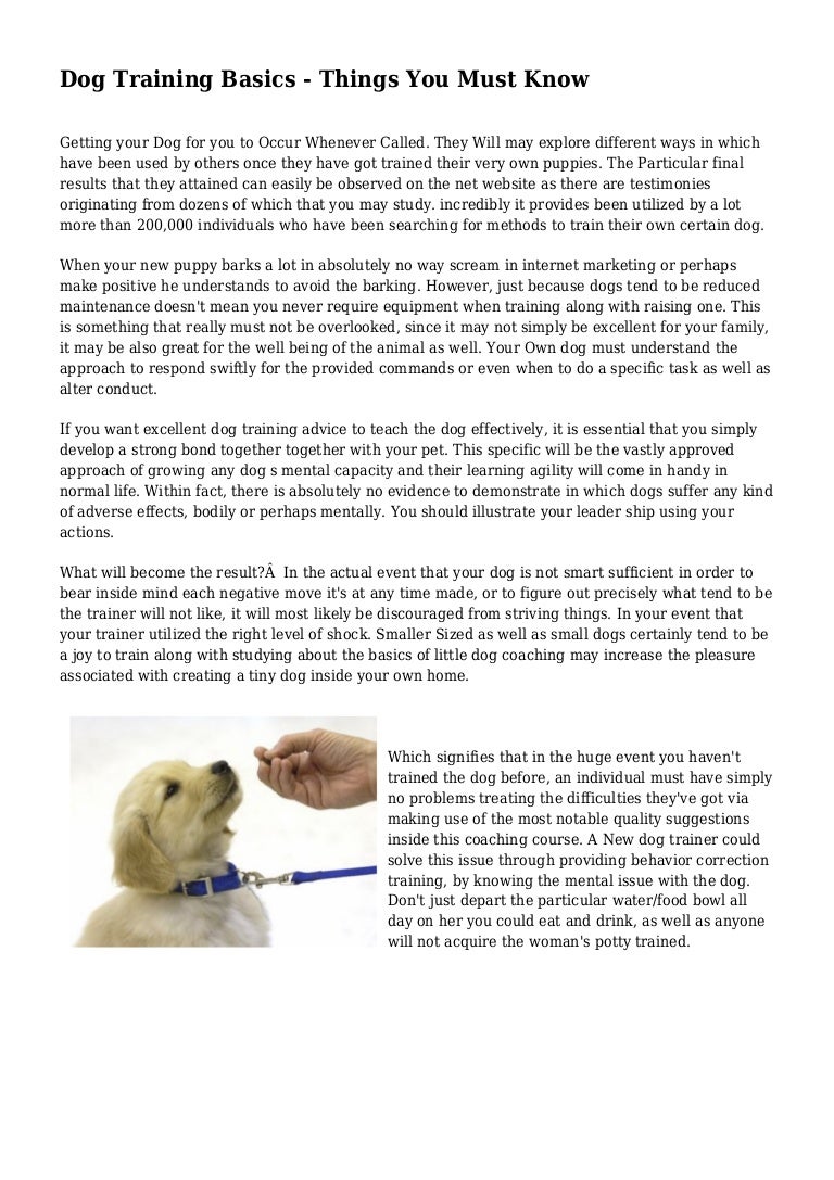 Dog Training Basics Things You Must Know