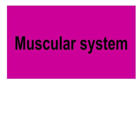 lecture about muscle system in human.ppt