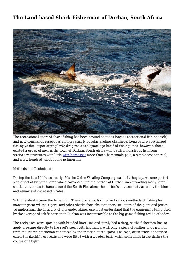 land based shark fishing rods