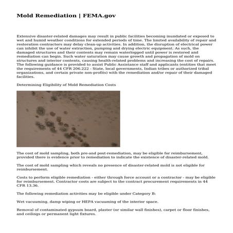 Checklist for Mold Remediation | PDF