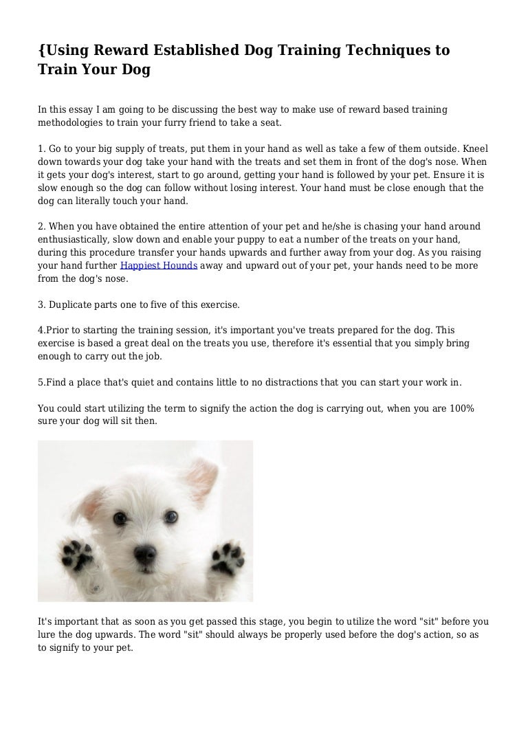 using reward established dog training techniques to train your dog using reward established dog training techniques to train your dog should the government provide health care essay also high school persuasive essay persuasive essay topics high school students