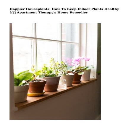 Happier Houseplants: How To Keep Indoor Plants Healthy — Apartment Therapy's ...