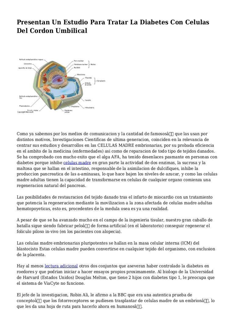 prueba de diabetes de células madre