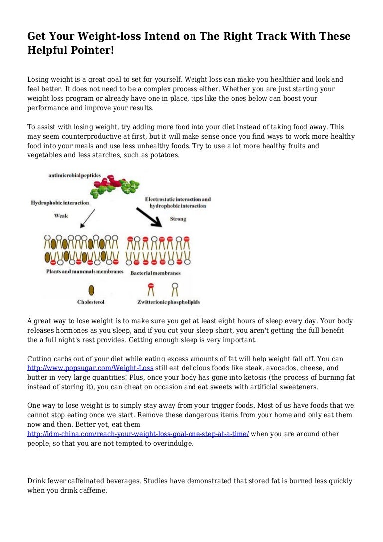 Easy fat loss factor.com photo 2