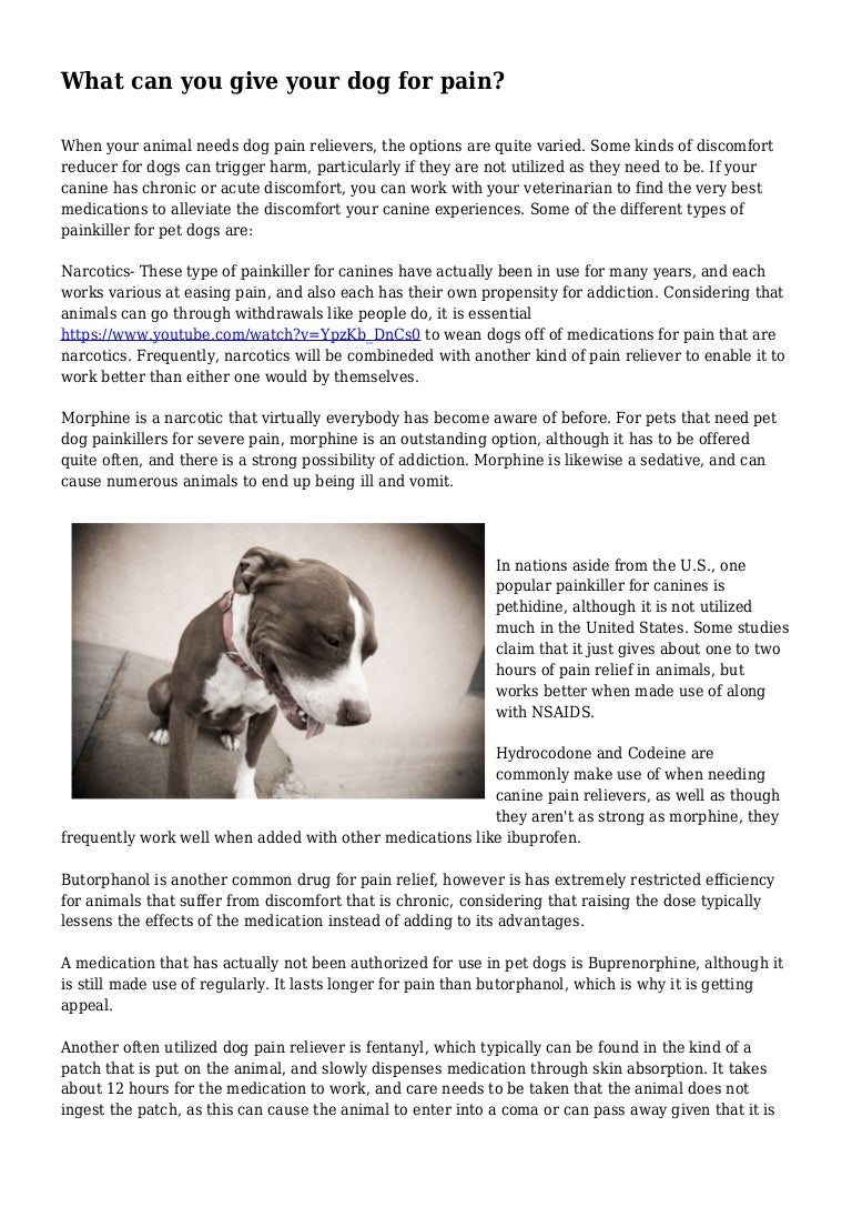 meds to give dogs for pain