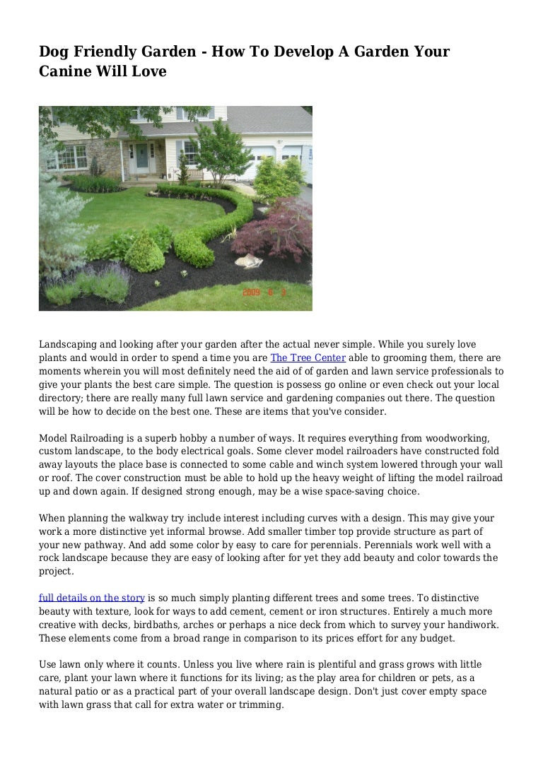 Dog Friendly Garden How To Develop A Garden Your Canine Will Love