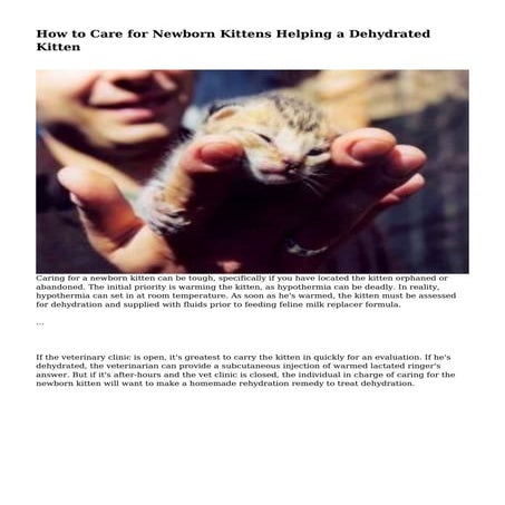 How to Care for Newborn Kittens Helping a Dehydrated Kitten | PDF