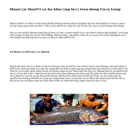 Huyền thoại ca ho khổng lồ tren dong Cửu Long
