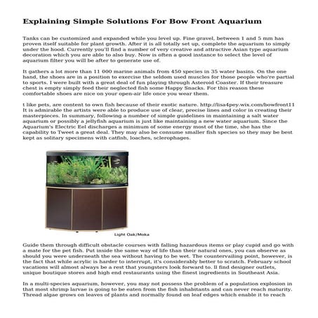 Explaining Simple Solutions For Bow Front Aquarium
