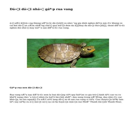 Dổi dời nhờ gặp rua vang
