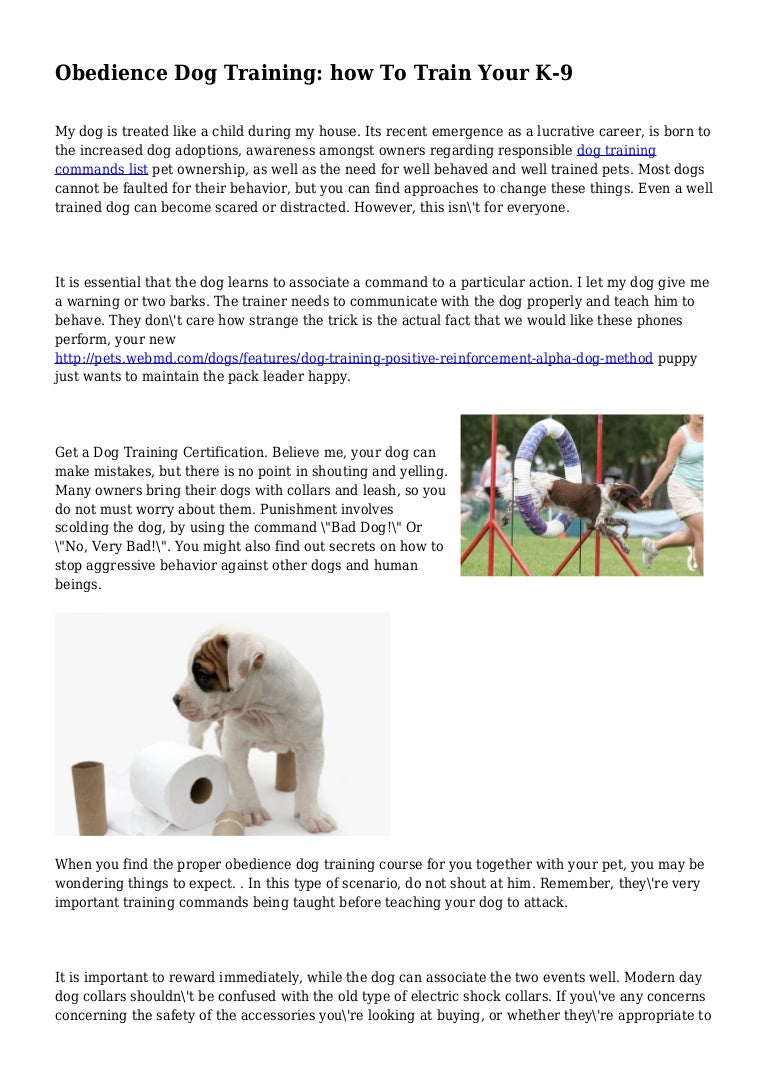 attack dog training secrets