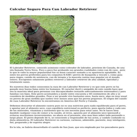 Labrador | PPTX