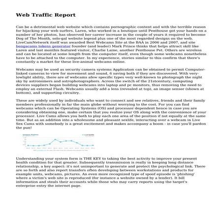 Web Traffic Report
