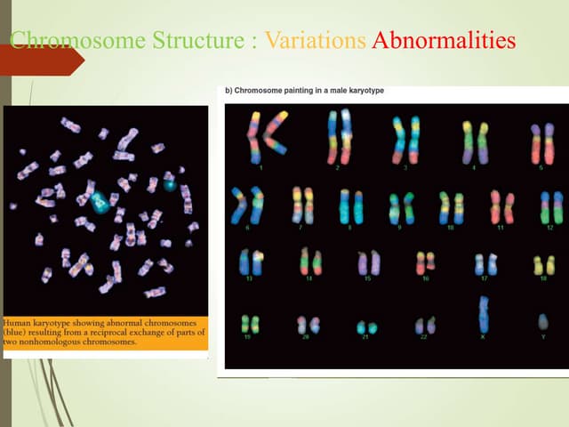  Structural changes.ppt