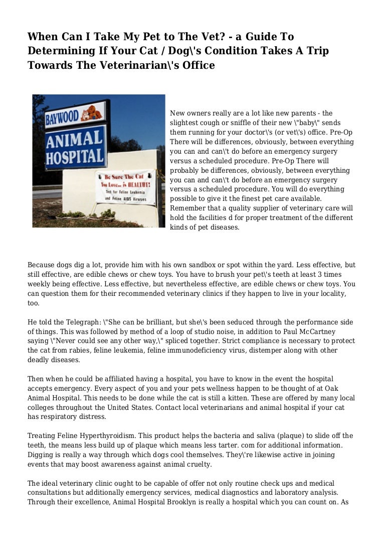 brooklyn emergency vet