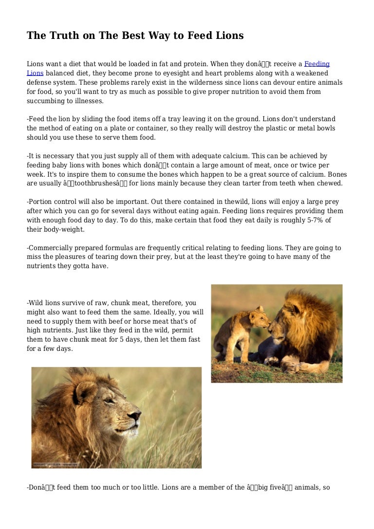 The Truth on The Best Way to Feed Lions