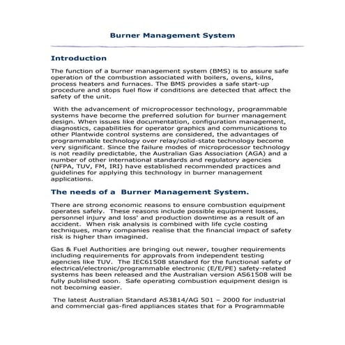 143673805 1-burner-management-system