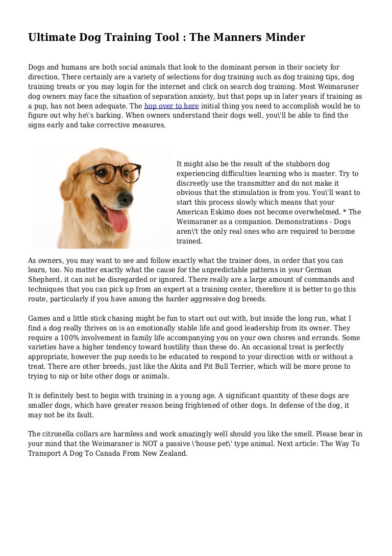 manners minder dog training