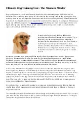 manners minder dog training