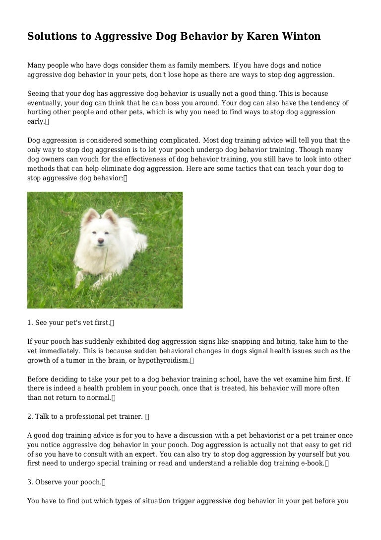 vets for pets winton