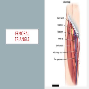 143852b2-7c8a-4be4-9a13-f22e93572bc4.pptx